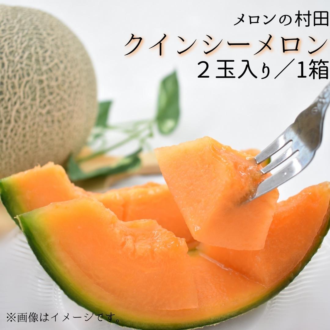クインシーメロン（ 2玉入り1箱 ）計3kg前後 4Lサイズ1玉1.5kg前後 茨城 鉾田 メロン めろん クインシー 2025年5月～6月頃発送 先行予約 フルーツ先行予約