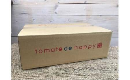 【4月～6月の定期便】トマト好き全員集合 トマト・トマト・トマト3か月お届けパック 野菜ソムリエサミット 金賞 受賞 長田農園 産地直送 トマト とまと 野菜 やさい フルーツ サラダ 濃厚 甘い ご