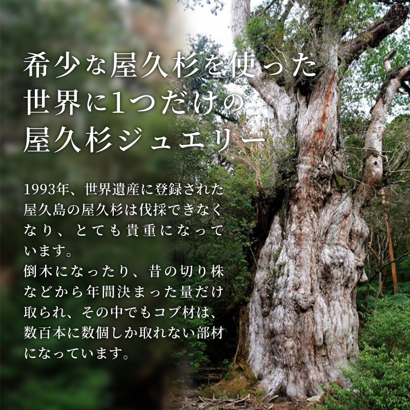 【グレイン】屋久杉リング－細身タイプ －添（Sou）－ イエローゴールド - アクセサリー 贈り物 ギフト おしゃれ お揃い 指輪 木製品 一点物 沖縄県 八重瀬町_イメージ2