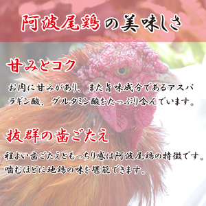 焼き鳥 5種 15本 セット  国産 もも 皮 砂ぎも ねぎま 鶏肉