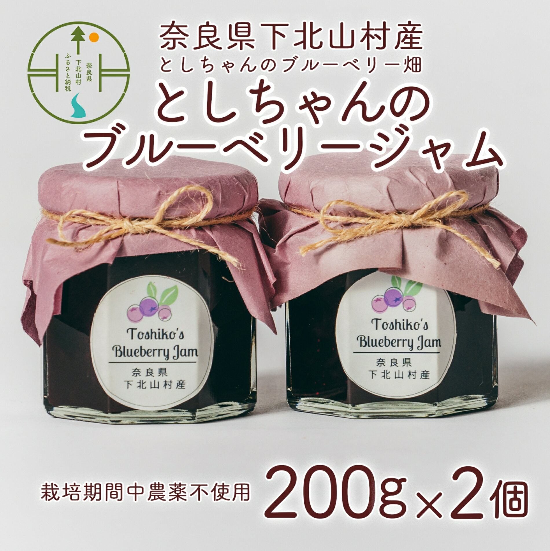 【ふるさと納税】先行受付 2025年9月～発送 としちゃんのブルーベリージャム200gx2個 手摘み 下北山村産 栽培期間中農薬不使用