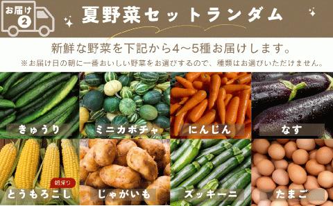 【 先行予約 】 夏の宝石野菜と三五八(さごはち) セット 数量限定 野菜 夏野菜 やさい 三五八 さごはち 発酵 発酵食品 健康 腸活 農家直送 新鮮 ギフト 贈答 人気 ミニトマト 枝豆 レシピ 
