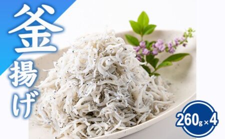 釜揚げ しらす 約 1kg（ 260g ×4）【 とびっちょ しらす 】
