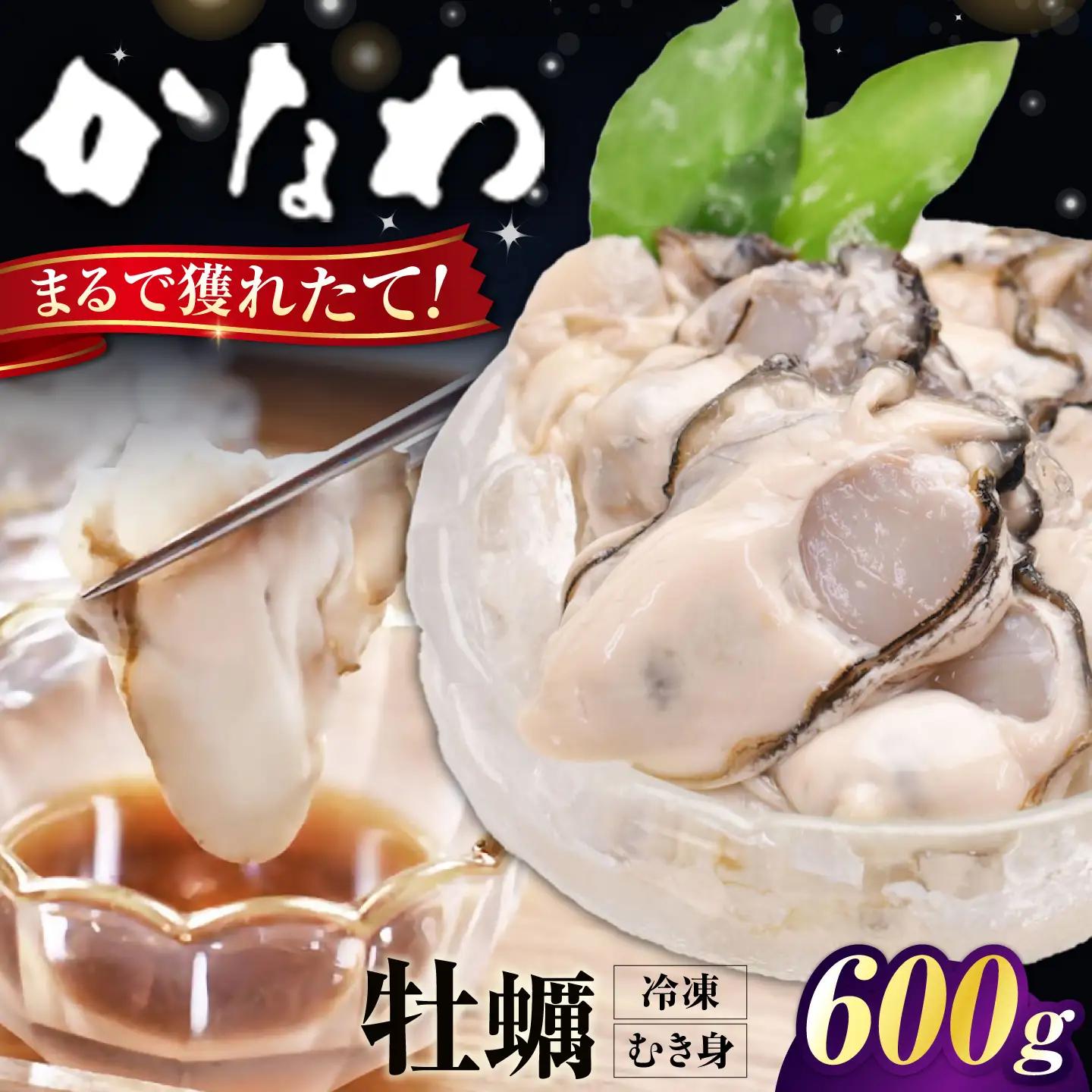 冷凍牡蠣むき身600g 牡蠣[XBP053]