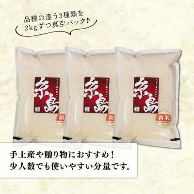 ふるさと納税 糸島市 長期保存可能 五ツ星お米マイスター 品種おまかせ白米 6kg 米屋納富[ARL004] |  | 01