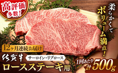 【12回定期便】 佐賀牛 ロース ステーキ 500g 2切【桑原畜産】 [NAB064] 牛肉 牛肉ステーキ 牛肉 牛肉ロース 牛肉 牛肉ステーキ