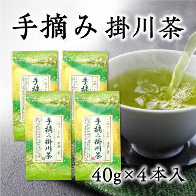 【ふるさと納税】天皇杯を受賞した掛川中央茶業で製造した希少な手摘み掛川茶4袋セット【配送不可地域：離島・沖縄県】【1317190】