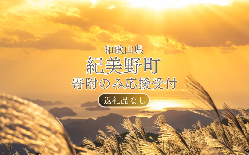
            【返礼品なし】和歌山県紀美野町への寄附 1,000円（寄附のみの受付となります）/ 紀美野町 和歌山県 寄附のみ 支援 応援 寄付 1,000円 【kmy001】
          