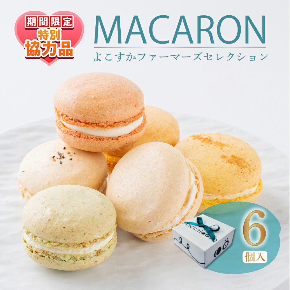 【ふるさと納税】【ホワイトデーCP】マカロン6個セット よこすかfarmersSelection マカロン お菓子 スイーツ 野菜 まかろん ベジタブル よこすか野菜 おしゃれ 横須賀【マカルース】[AKGS001]
