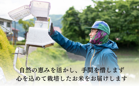 【先行予約】[令和7年産 新米]瑞穂 豊米（ゆたかまい） 精米 5kg（7-52） 長野県 飯山市 おすすめ ランキング おいしい 高評価 大人気 こしひかり こしひかり こしひかり こしひかり こし