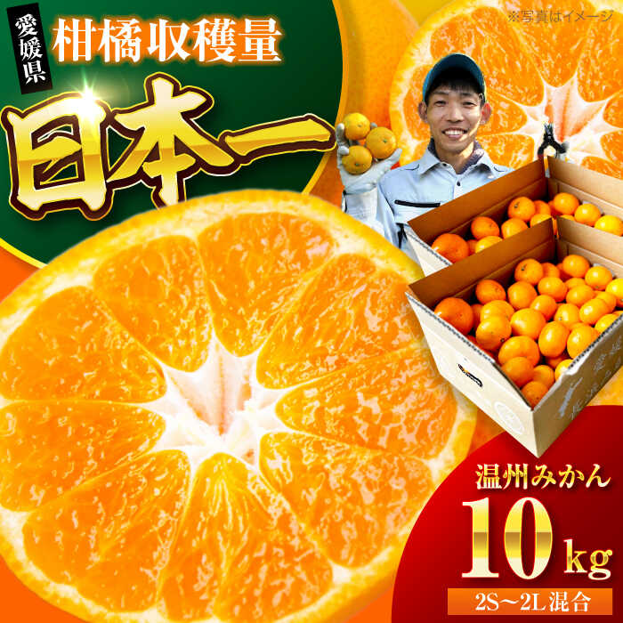 【ふるさと納税】【10月より順次発送】 温州みかん 10kg （2Sから2L混合サイズ） | 人気 おすすめ ランキング おいしい 甘い 柑橘 大洲市/玉川農園[AGBC006] 10000 10000円 以上
