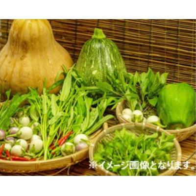 ふるさと納税 河南町 【6〜7種類】河南町新鮮アジア野菜「お手軽セット」 |  | 01