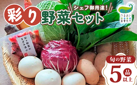 農園自慢 彩り 野菜セット（ 5品 以上?）【予約受付 6月発送開始予定】旬 野菜 詰め合わせ シェフ御用達 国産 うるおい春夏秋冬 やさい セット 岩手県 北上市 A0235 季節の野菜 西洋野菜 紫人参 丸なす 水なす 長なす とうがらし カラフル 野菜 お試し