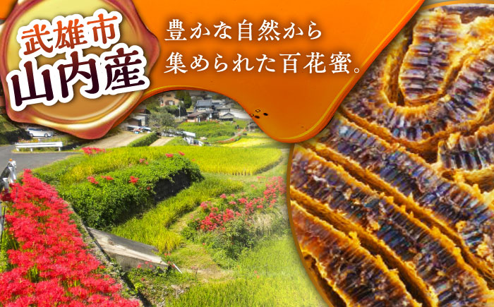 【コクと味わい深い甘み】 日本蜜蜂 百花 はちみつ 200g 純粋蜂蜜 /永尾 忠則 [UAS003] 蜂蜜 ハチミツ 日本ミツバチ