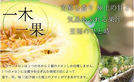 【6ヶ月定期便】クラウンメロン【並（白等級）】大玉（1.4kg前後）3玉入り 