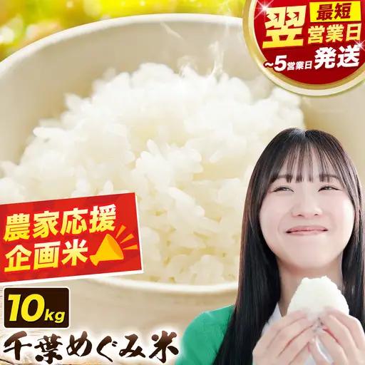 米 千葉めぐみ米 10kg 千葉県産 FN-SPECIAL-PICKUP