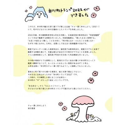 ふるさと納税 井川町 井川町トランプ |  | 03