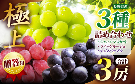 2026年先行予約 贈答用 信州産 葡萄【詰み合わせ】３房【シャインマスカット、ナガノパープル、クインルージュ®】｜ フルーツ ふるーつ 果物 甘い シャインマスカット 葡萄 ぶどう ナガノパープル クイーンルージュ ふるさと納税 長野県 松本市