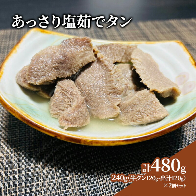 【ふるさと納税】牛タン 宮城 あっさり塩茹でタン 120g×2個 出汁 セット タン塩 塩タン 温めるだけ 小分け 牛肉 牛 たん 肉 お肉 冷凍肉 おかず 惣菜 おつまみ つまみ 牛タンカレー 牛タンシチュー タンシチュー おでん ギフト 贈答 冷凍 冷凍配送 宮城県 岩沼市