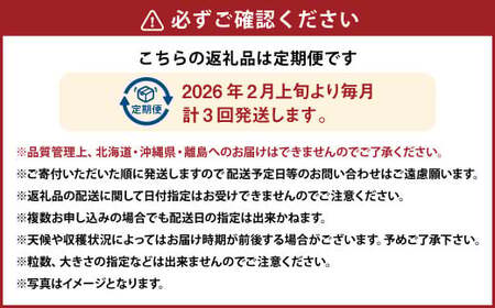 【3ヶ月定期便】あまおう2パック×3回発送 あまおう いちご イチゴ 苺 果物 くだもの フルーツ【2026年2月上旬～4月上旬発送予定】