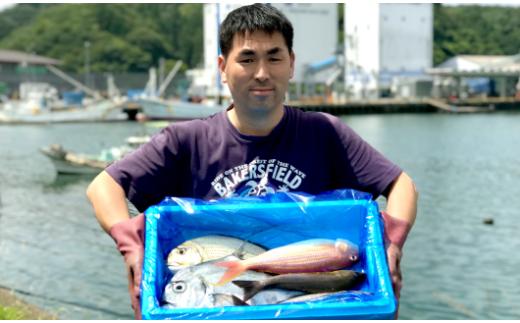 新鮮土佐魚の詰合せセットA