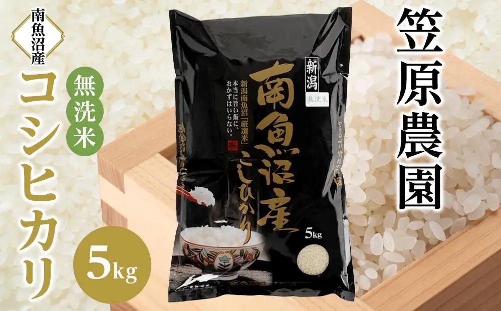 【令和7年】南魚沼産コシヒカリ無洗米５kg  | コシヒカリ