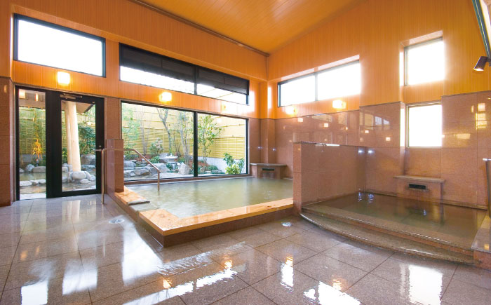 温泉入浴券 大谷の湯 日帰り温泉 入浴券 12枚【社会福祉法人青生会】 [BHCM002]