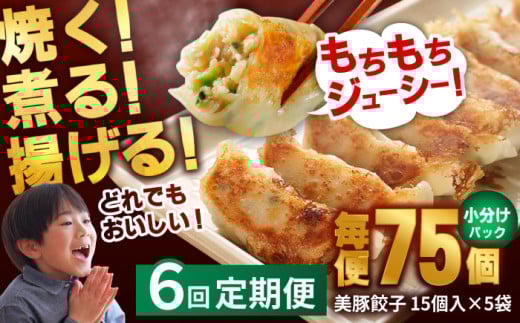 【全6回定期便】 美豚餃子 15個入×5袋セット おつまみ おかず 簡単【長崎フードサービス】 [PEL009] 冷凍 餃子 飲茶 中華 ぎょうざ ギョウザ