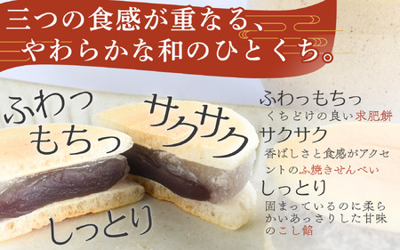【2ヶ月定期便】老舗の味 天狗力餅20個入×2ヶ月 / 定期便　和菓子　力もち　こし餡　職人の手作り / 銘菓 和菓子 こしあん 由良町 お取り寄せ お土産 ギフト 和歌山県【knkd-tkb001】