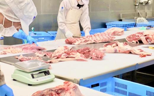 6ヵ月定期便 みらい豚 もも肉 スライス 2kg （ 500g × 4P ） │ 豚肉 豚 小分け もも モモ ももスライス モモスライス しゃぶしゃぶ ぶた肉 冷凍 銘柄豚 村下商事 定期便 茨城県 つくば市