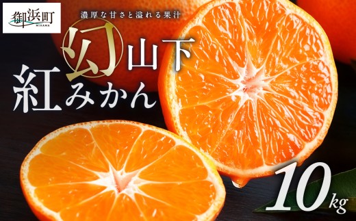 辻本農園の山下紅みかん10キロ【期間限定 数量限定 まぼろし 幻 高級 甘い 果物 ミカン フルーツ 柑橘 三重県 御浜町】
