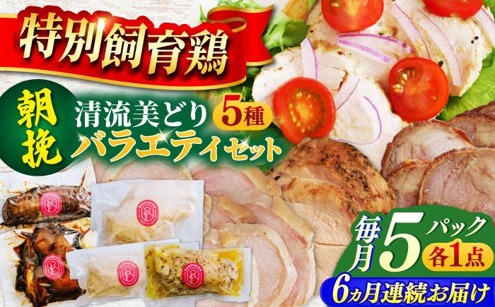 
                  【6回定期便】 鶏肉 朝挽き 清流美どり バラエティ5点セット 若鶏 お取り寄せ お肉 ディナー おかず ダイエット 筋トレ 岐阜 ギフト プレゼント 贈り物 贈答 おすすめ 人気 6ヶ月 6回 定期便 詰め合わせ セット 鶏チャーシュー 照り焼き サラダチキン 燻製 プレーン オリーブマスタード 鮮度抜群 真空パック 冷凍 岐阜市 / 若鶏の春近 [ANDL013]
                