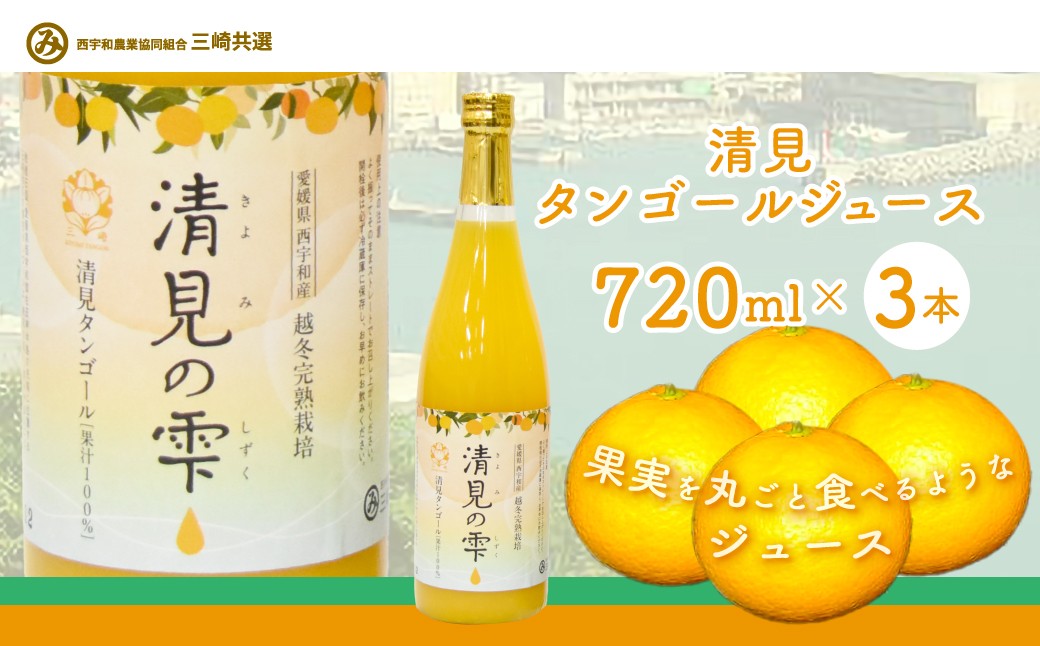 
                  【先行予約】清見タンゴールジュース （720ml×3本）※離島への配送不可（2027年6月上旬より順次発送予定） 【 ふるさと納税 人気 おすすめ ランキング オレンジ みかん みかんジュース ミカンジュース みかんじゅーす 国産 贈答 内祝い お返し お見舞い お供え お中元 お歳暮 プレゼント 清見 清見タンゴール 愛媛県 伊方町 送料無料 】 IKTBD001
                