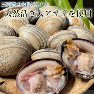 岬だより 天然大あさり釣り餌用 6個入り×4袋セット [配送不可地域：離島]