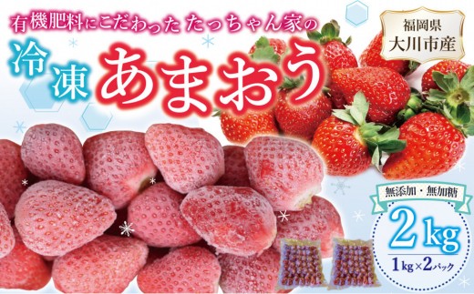 
                  有機肥料にこだわった たっちゃん家の完熟冷凍あまおう　1kg×2袋　計2kg
                