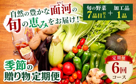【定期便 全6回】久万高原町 面河の山里が育んだ旬野菜と加工品セット
