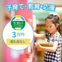 【ふるさと納税】子育て・教育を応援（返礼品なし） 3万円 寄附のみ申込みの方 056-012