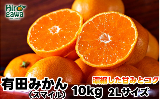 
                  有田みかん 10kg 秀品 2Lサイズ【sml004-r-2l-10A】
                