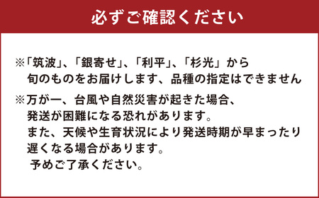 熊本県ＪＡくま産 球磨の栗 2kg（2L以上 旬な品種) お届け時期：2025年8月下旬～10月上旬