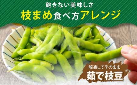 【3ヶ月定期便】そのまま枝豆 約300g×6袋 計約5.4kg 枝豆 えだ豆 えだまめ エダマメ おつまみ おやつ 定期便 3回 国産 冷凍 [018-0063]
