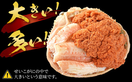 【先行予約】セコガニ甲羅盛り 約80g×6杯（約480g）※2025年11月中旬以降順次発送【年内発送受付12月10日まで】 ／ 期間限定 冷凍 蟹 カニ 解禁 便利 身出し 小分け ビール おつまみ