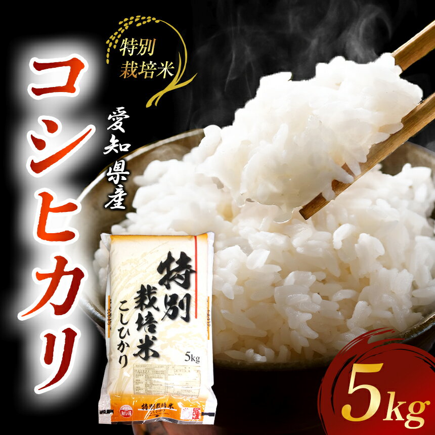 【ふるさと納税】【地元生産者の思いが伝わる一品】特別栽培米こしひかり5kg 令和7年産米◇ | 米 こめ こしひかり コシヒカリ 令和7年産米 特別栽培米 愛知県美浜産 愛知県 美浜町