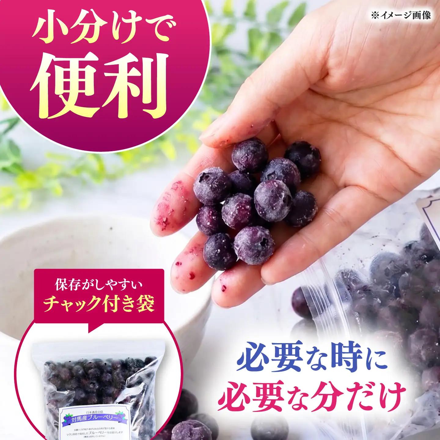 大容量 対馬産 ブルーベリー 1.2kg（ 冷凍 ） [WBG001] 果物 フルーツ ベリー 冷凍 ブルーベリー旬 ブルーベリー