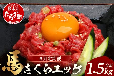 【 定期便 6回 】 熊本県 馬さくらユッケ 250g （ 50g × 5 ） × 6回 【 合計 1500g 】 【 馬刺し 本場 熊本 馬さし 小分け ユッケ 冷凍 真空 熊本 肥育 ヘルシー 赤