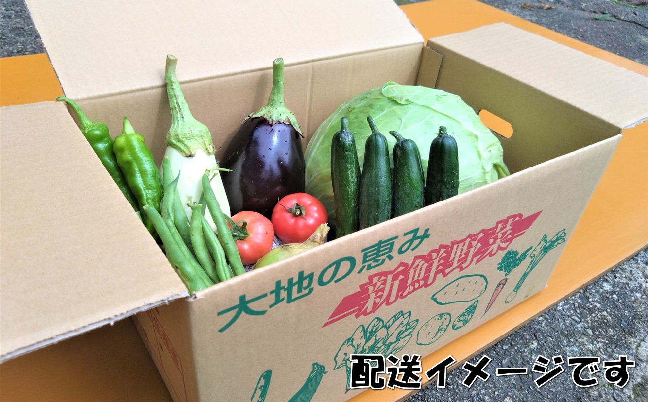 【数量限定】小国の旬の新鮮野菜セット　5品以上　