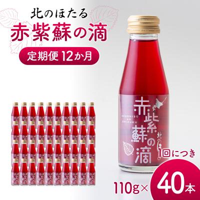 ふるさと納税 沼田町 赤紫蘇の滴110g×40本 定期便 12か月 赤紫蘇 紫蘇ジュース 北のほたる 沼田町 n-0215