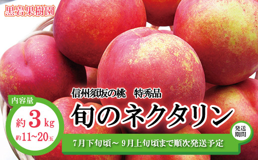 
[No.5657-2567]信州須坂の桃 旬のネクタリン 特秀品 約3kg(約11～20玉) 《黒岩果樹園》■2024年発送■※7月下旬頃～9月上旬頃まで順次発送予定
