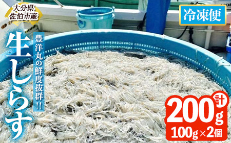 豊洋丸の鮮度抜群！ 生しらすセット (計200g・100g×2個) 【HK01】【OITAしらすhoyomaru豊洋丸】