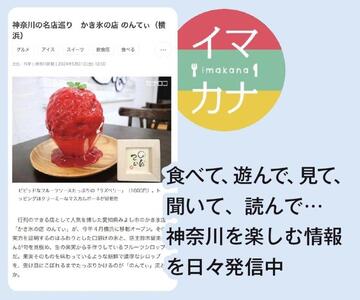 神奈川新聞 「＋電子版コース」（6ヵ月） AND0003