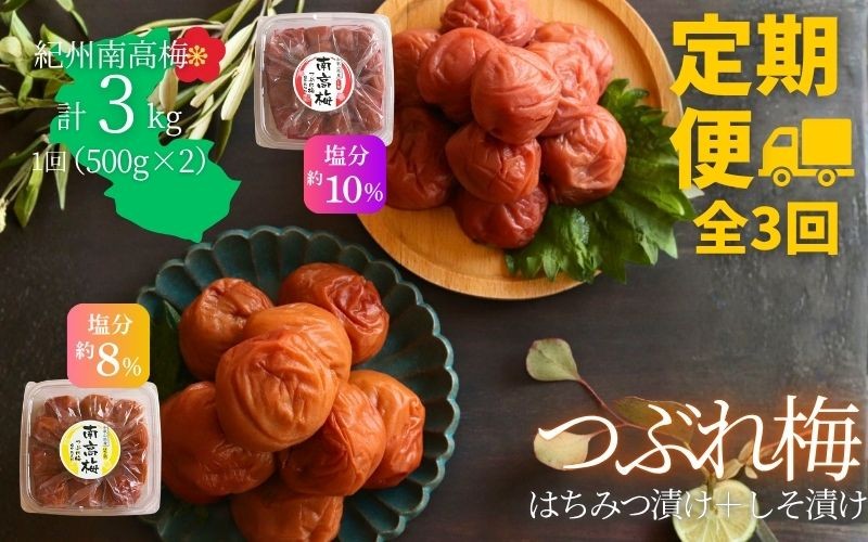 
                  【定期便全3回】 【塩分 はちみつ約8％ しそ漬け約10％】和歌山県紀州南高梅 つぶれ はちみつ漬け＆しそ漬け 訳あり 500g×2｜甘口・爽やか梅干 梅 うめ 減塩　agrjpn-tkb001
                